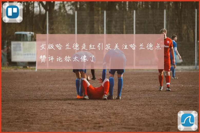 女版哈兰德走红引发关注哈兰德点赞评论称太像了