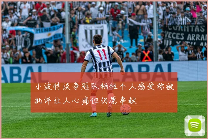 小波特谈争冠队牺牲个人感受称被批评让人心痛但仍愿奉献